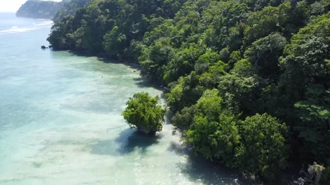 Aerial drone view of Panaraga Beach with tropical jungle ocean waves and isl Stock Footage 343442327