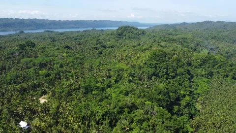 Aerial drone view of Panaraga Beach with tropical jungle ocean waves and isl Stock Footage 343442866