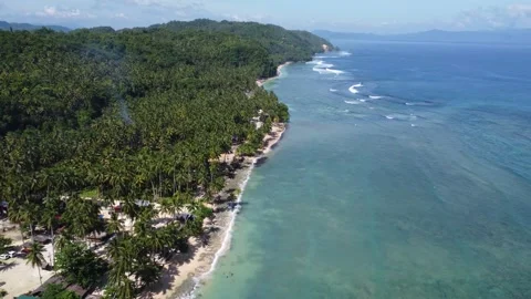Aerial drone view of Panaraga Beach with tropical jungle ocean waves and isl Stock Footage 343443014