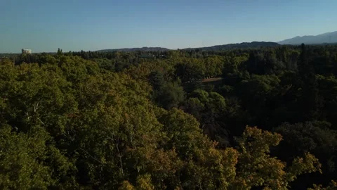 Aerial Drone View of Park San Martín Lake and Mountains, Mendoza, Argentina Video stock 339097965