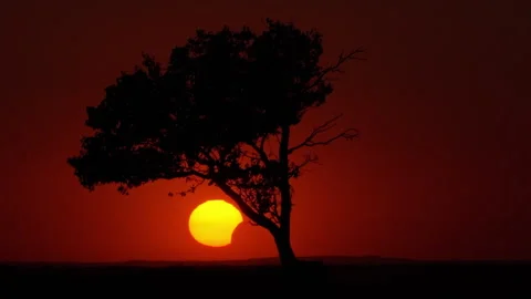Aerial drone view of Partial solar eclipse visible during a dramatic dark orange Stock Footage 345501838