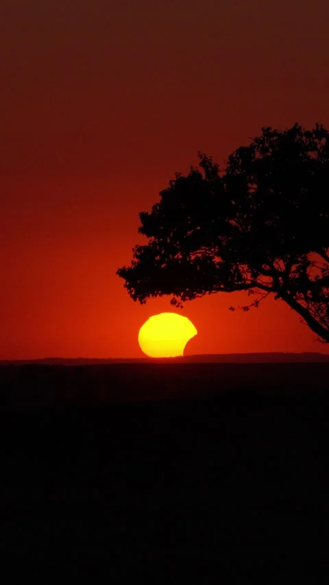 Aerial drone view of Partial solar eclipse creating a crescent sun silhouette Stock Footage 345502958