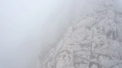 Aerial Drone view from Pas del Comptador - National forest , Spain Video stock 194499337