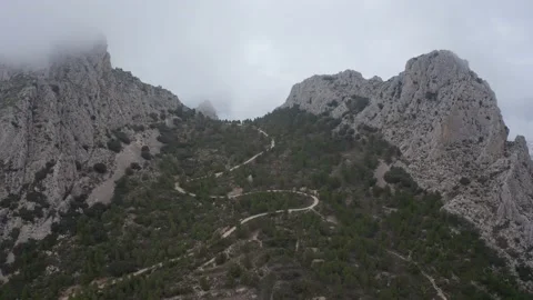 Aerial Drone view from Pas del Comptador - National forest , Spain Video stock 194499391