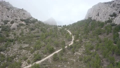Aerial Drone view from Pas del Comptador - National forest , Spain Video stock 194499393