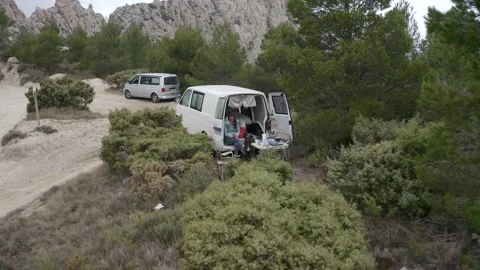 Aerial Drone view from Pas del Comptador - National forest , Spain Video stock 194499397