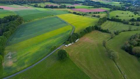 Aerial drone view of patchwork farmland, rapeseed fields and winding country Stock-Footage 336439155