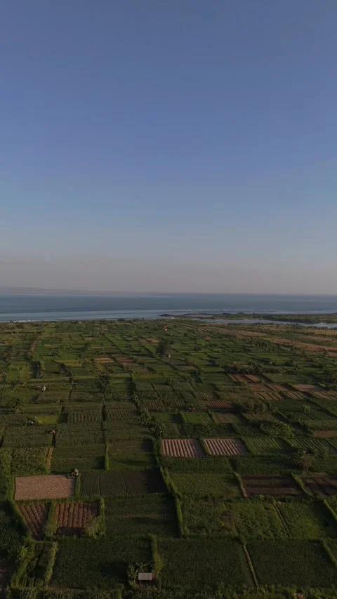 Aerial Drone View of Patchwork Farmland Fields and Coastline, East Bali Video stock 337229552