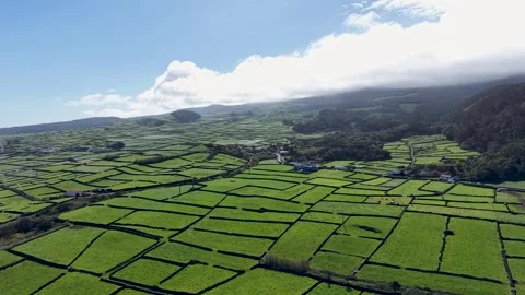 Aerial Drone View Of Patchwork Green Fields On Terceira Island Azores Portugal Stock-Footage 336288227