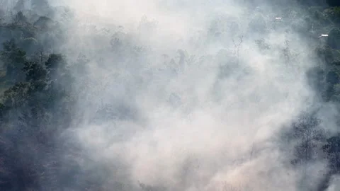 Aerial Drone View of Peat Soil Fire in Tropical Forest 스톡 동영상 333804219