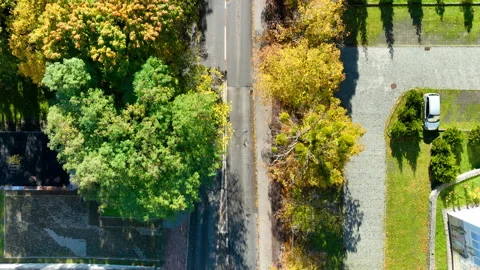 Aerial drone view of a pedestrian crossing surrounded by trees, buildings and a Stock Footage 321521260