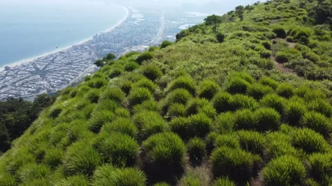 Aerial Drone View of Pedra da Gávea, Rio de Janeiro, Brazil Stock Footage 341893847