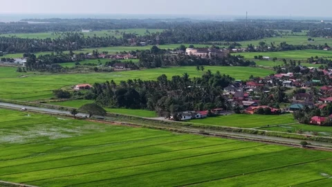 Aerial drone view of Penaga paddy fields and village Stock Footage 337536302