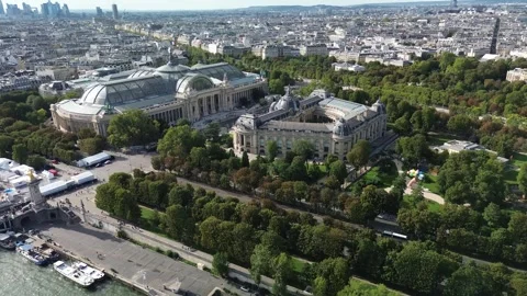Aerial drone view of Petit Palais and Grand Palais in Paris with financial Stock Footage 248405905