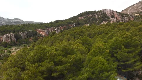 Aerial drone view of a pine forest in Alicante, Spain Stock Footage 123728823