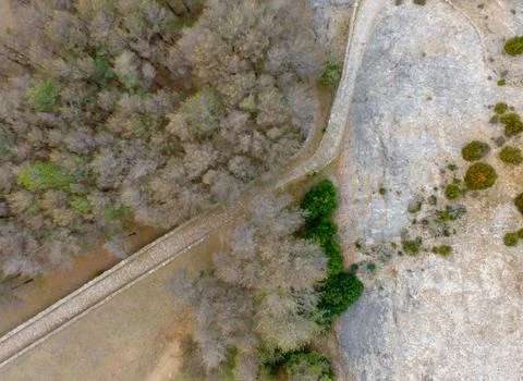 Aerial drone view of plague processoinary pest in large pine forest and pathway Foto stock
