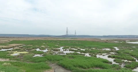 Aerial drone view of Pont de Normandy, suspension bridge. Vídeo Stock 256038444