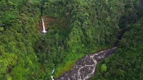Aerial drone view of a powerful waterfall cutting through a lush jungle canyon Stock Footage 328296069