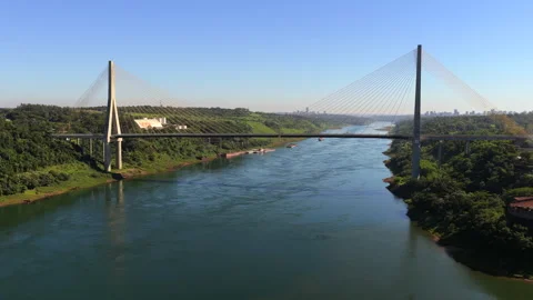 Aerial drone view of the Puente de la Integracion cable-stayed bridge over the Stock-Footage 333727705