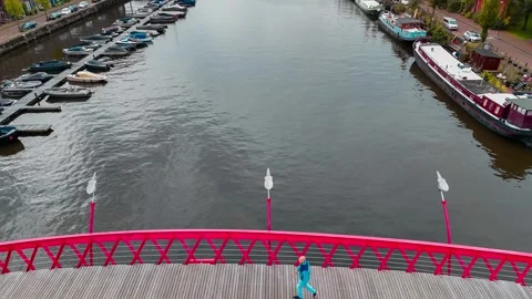 Aerial drone view Python Bridge Eastern Docklands Amsterdam Netherlands 動画素材 271172359