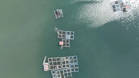 Aerial drone view of a remote tropical coastal fishing village and seashore. Stock Footage 345254647