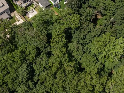 Aerial drone view of residential complex, parking areas, and mature trees in Stock-Fotos