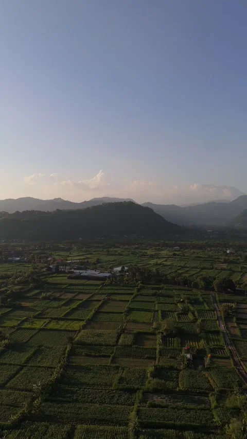 Aerial Drone View of Rice Field Valley and Forested Mountains, East Bali Video stock 337229565