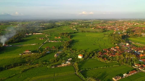 Aerial drone view of rice fields at early morning. Bali, Indonesia, 2020 Stock Footage 126878161