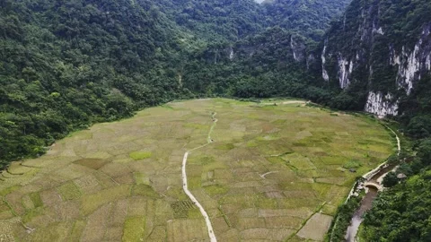 Aerial drone view of rice fields in Mai Chau, northern Vietnam – 4K Video stock 325036245