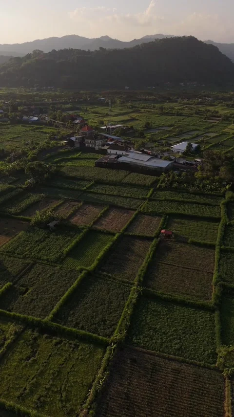 Aerial Drone View of Rice Fields and Village in a Valley with Mountains, Bali Video stock 337229597