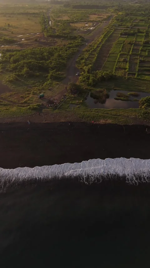 Aerial Drone View of Rice Fields and Black Sand Beach, East Bali, Indonesia Video stock 337229626
