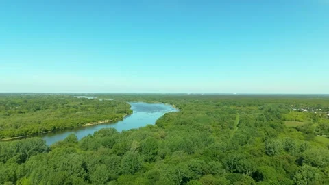Aerial drone view of river and green forest landscape Stock Footage 317833786