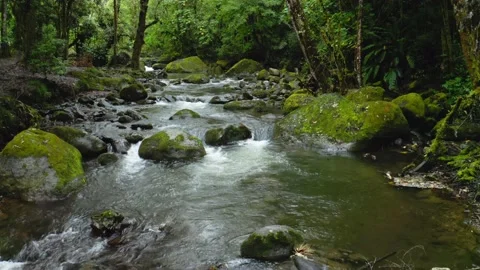 Aerial Drone View of River in Costa Rica Rainforest Scenery, Beautiful Nature Stock Footage 202257501