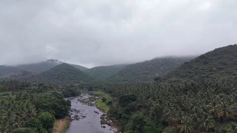 Aerial Drone View of River Flowing Through Lush Green Hills and Coconut Forest Video stock 316039218