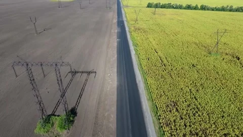 Aerial Drone View of Road Between Sunflower Field and Plowed Land in Donetsk Reg Stock Footage 316537284