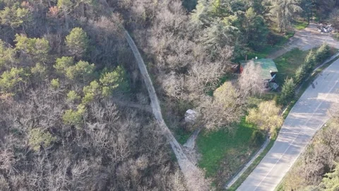 Aerial drone view of road cutting through forest landscape Stock Footage 324529778