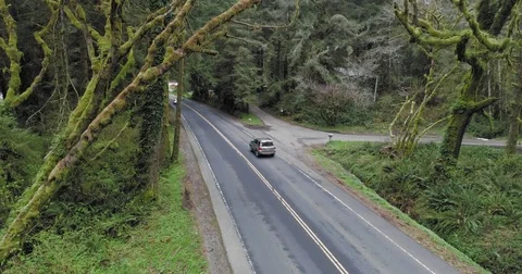Aerial drone view of road in forest in northern california Stock Footage 73966653