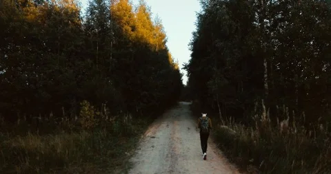 Aerial drone view of the road in the forest. green trees in the village. Russian Stock Footage 95866496