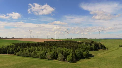 Aerial drone view of rolling green farmland and meadows with a small conifer Stock Footage 336621207