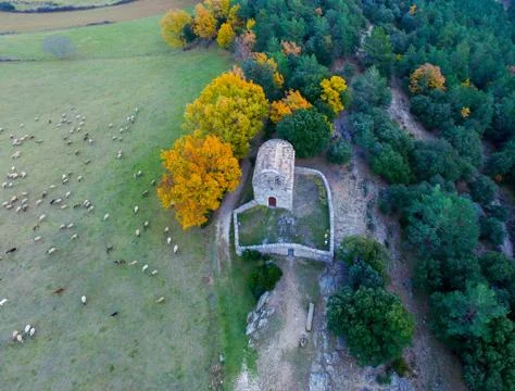 Aerial drone view of romanesque medieval church in autumn and sheep Stock Photos