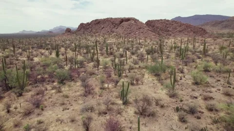 Aerial Drone View of Rugged Desert Hills in Baja California Sur, Mexico Stock Footage 340429134