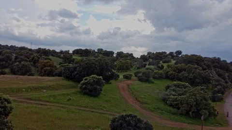 Aerial drone view of a rural path with trees on a rainy day in Spain Stock Footage 343553937