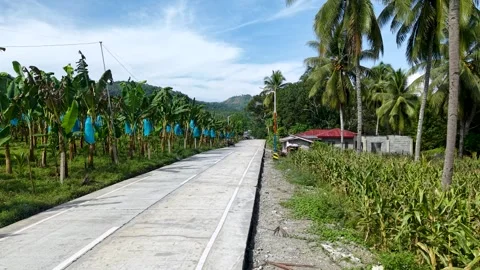 Aerial Drone View of Rural Road Beside Cornfield and Banana Plantation Stock Footage 326092371