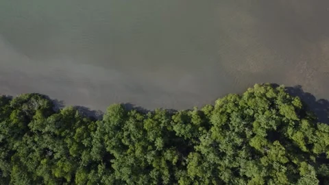 Aerial Drone View of Saco do Mamanguá, Paraty, Rio de Janeiro, Brazil Stock Footage 337598610