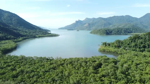 Aerial Drone View of Saco do Mamanguá, Paraty, Rio de Janeiro, Brazil Stock Footage 337598611