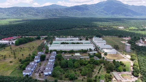 Aerial Drone View of Sagil Campus and Palm Plantation, Tangkak Stock-Footage 337984014