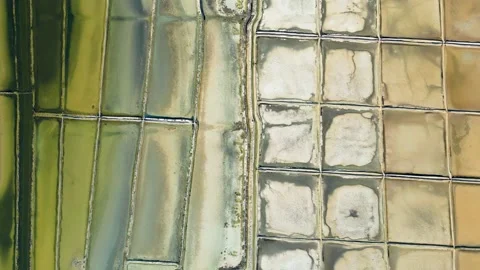 Aerial drone view of Salt Fields in Solana Pag Stock Footage 231336755