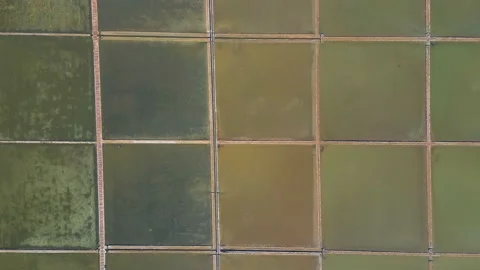 Aerial drone view of the salt pan in the city of Ston in Croatia Stock Footage 239754736