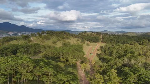 Aerial Drone View of a Scenic Pine Hill in Da Lat, Vietnam Stock Footage 343720052