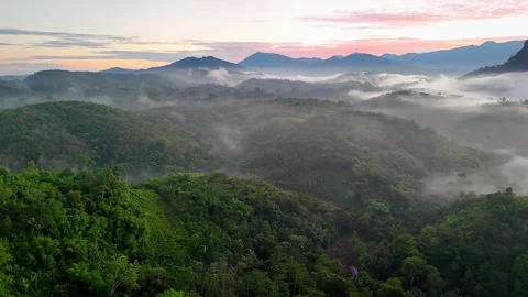 Aerial Drone View of Sea of Clouds Surrounding Triple Peaks  of Meratus 库存影片 335216050